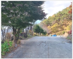  2024Ÿ��39297  �����ü����