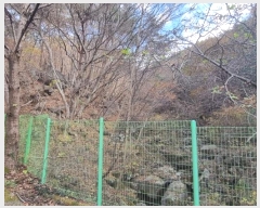  2024Ÿ��39297  �����ü����