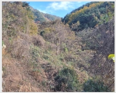  2024Ÿ��39297  �����ü����