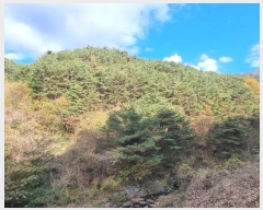  2024Ÿ��39297  �����ü����