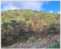  2024Ÿ��39297  �����ü����