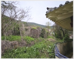  2024Ÿ��1424 �泲 �뿵�� �볲�� �幮�� 411-1      ����(����)���