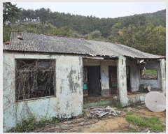  2024Ÿ��1424 �泲 �뿵�� �볲�� �幮�� 411-1      ����(����)���