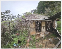  2024Ÿ��1424 �泲 �뿵�� �볲�� �幮�� 411-1      ����(����)���