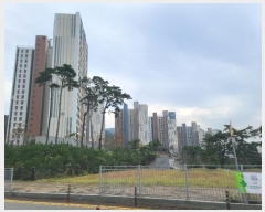  2024Ÿ4768 泲   ε 259-90, 102 8804ȣ (ũ)   Ʈ