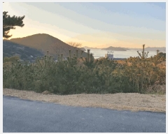  2024Ÿ5013 泲  θ  717-24      (1)