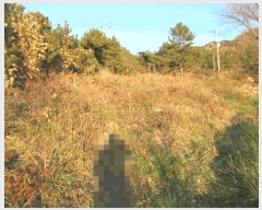  2024Ÿ5013 泲  θ  717-24      (1)