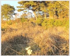  2024Ÿ5013 泲  θ  717-24      (1)