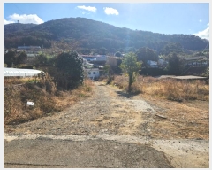  2024Ÿ5334 泲 뿵  긮 463-4      ()