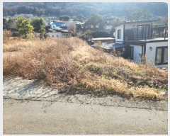  2024Ÿ5334 泲 뿵  긮 463-4      ()