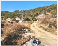  2024Ÿ5334 泲 뿵  긮 463-4      ()