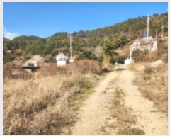  2024Ÿ5334 泲 뿵  긮 463-4      ()