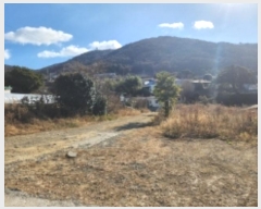  2024Ÿ5334 泲 뿵  긮 463-4      ()