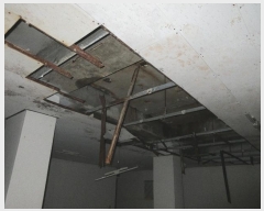  2024Ÿ25178 泲  4 40, 3302ȣ (,ûۺ)     Ʈ