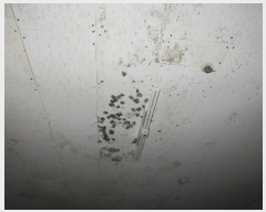  2024Ÿ25178 泲  4 40, 3302ȣ (,ûۺ)     Ʈ