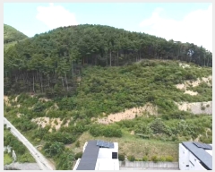  2024Ÿ28252 泲  ֵ 56-68       (Ӿ)