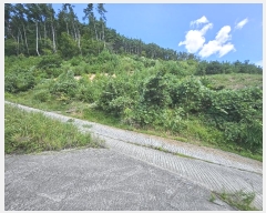  2024Ÿ28252 泲  ֵ 56-68       (Ӿ)