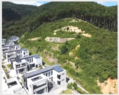  2024Ÿ28252 泲  ֵ 56-68       (Ӿ)