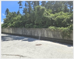  2024Ÿ28252 泲  ֵ 56-68       (Ӿ)