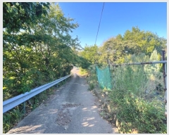  2024Ÿ28764 泲    476      (1)