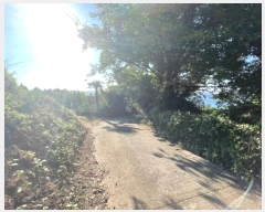  2024Ÿ28764 泲    476      (1)