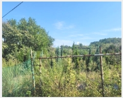  2024Ÿ28764 泲    476      (1)