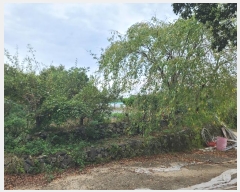  2024Ÿ��29019 �泲 ������ ������ ���긮 199      ����(��1)���