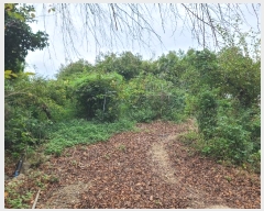  2024Ÿ��29019 �泲 ������ ������ ���긮 199      ����(��1)���