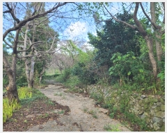  2024Ÿ��29019 �泲 ������ ������ ���긮 199      ����(��1)���