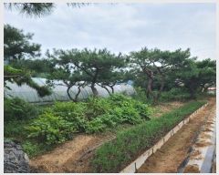  2024Ÿ��29019 �泲 ������ ������ ���긮 199      ����(��1)���