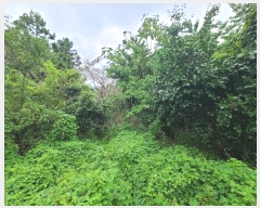  2024Ÿ��29019 �泲 ������ ������ ���긮 199      ����(��1)���