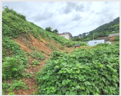  2024Ÿ29262 泲  û  55-25      (1)