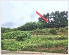  2024Ÿ29262 泲  û  55-25      (1)