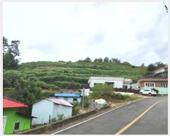  2024Ÿ29262 泲  û  55-25      (1)