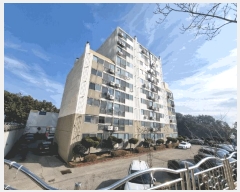  2024Ÿ32763 泲 뿵 볲 ؾȴ 416-7, 101007ȣ (Ǽ)    Ʈ