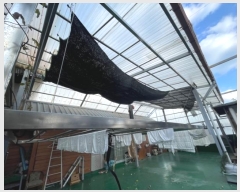  2024Ÿ��32855 �泲 ������ ������ 1972       ���ڽü�,����,ȣ��,�������