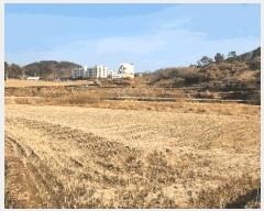  2024Ÿ33100 泲    228-2      ()