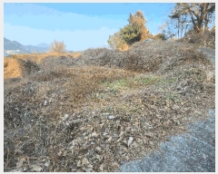  2024Ÿ33100 泲    228-2      ()