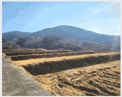  2024Ÿ33100 泲    228-2      ()