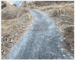  2024Ÿ33100 泲    228-2      ()