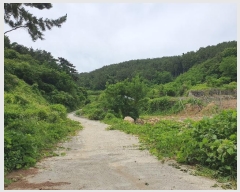  2024Ÿ2786 泲 뿵   570-2      (1)