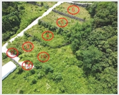  2024Ÿ2786 泲 뿵   570-2      (1)