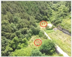  2024Ÿ2786 泲 뿵   570-2      (1)