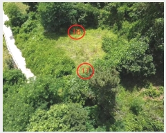  2024Ÿ2786 泲 뿵   570-2      (1)