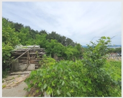  2024Ÿ2786 泲 뿵   570-2      (1)