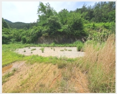  2024Ÿ2786 泲 뿵   570-2      (1)