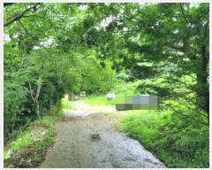  2024Ÿ��3352 �泲 �뿵�� ������ �׸��� 790      ����(��1)���