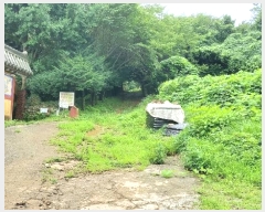  2024Ÿ��3352 �泲 �뿵�� ������ �׸��� 790      ����(��1)���