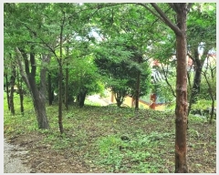  2024Ÿ��3352 �泲 �뿵�� ������ �׸��� 790      ����(��1)���