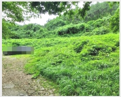  2024Ÿ��3352 �泲 �뿵�� ������ �׸��� 790      ����(��1)���